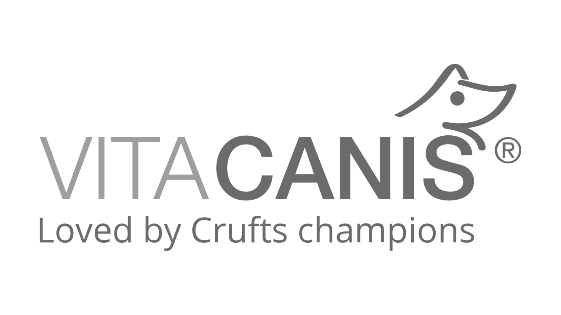  Vita Canis 